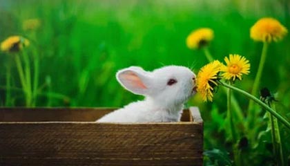 C罗在训练中完成倒钩技惊四座，c罗倒钩什么水平