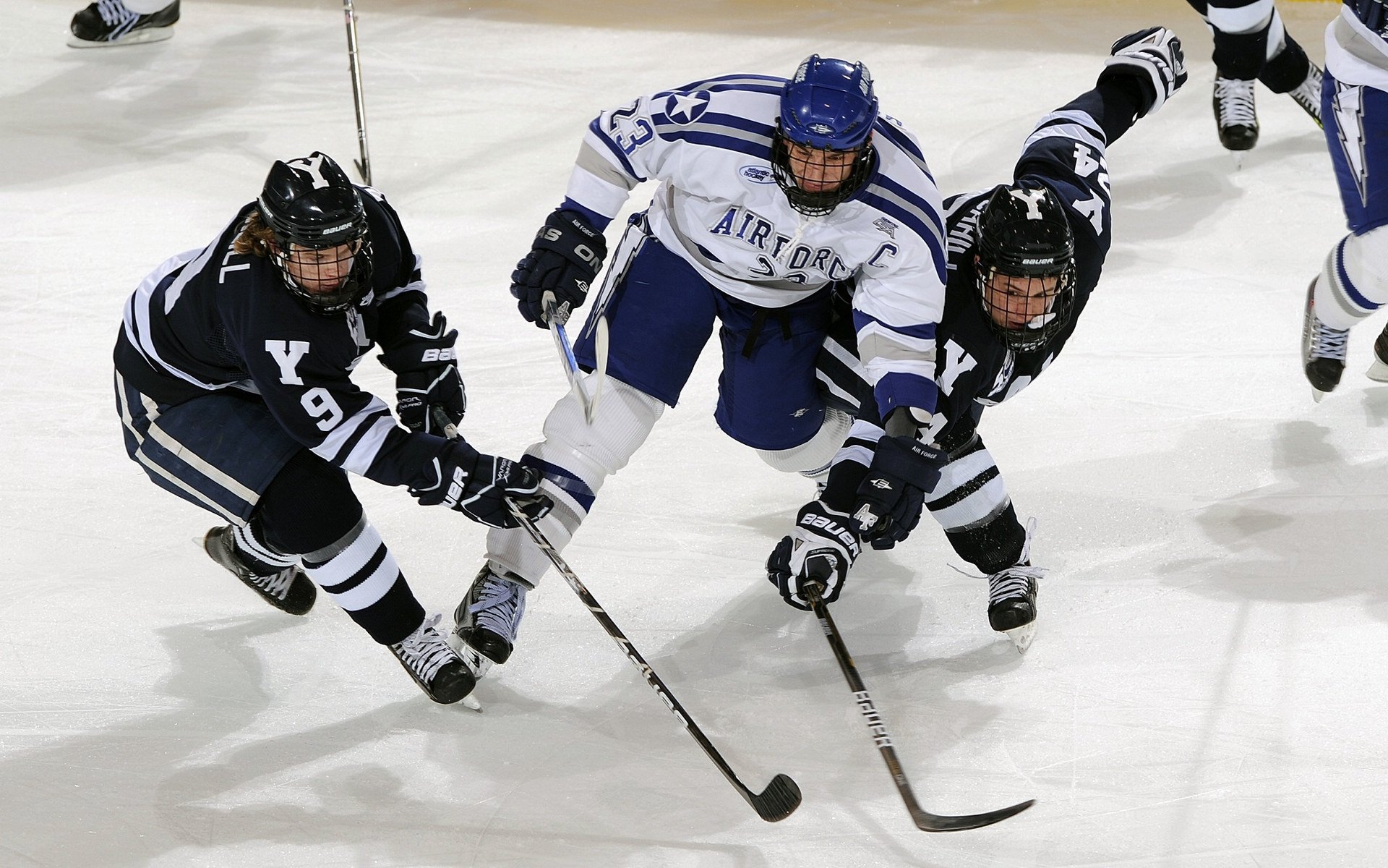 亚历克斯·格林伍德的防守韧性为袋鼠队抵御强敌进攻，格林伍德上限