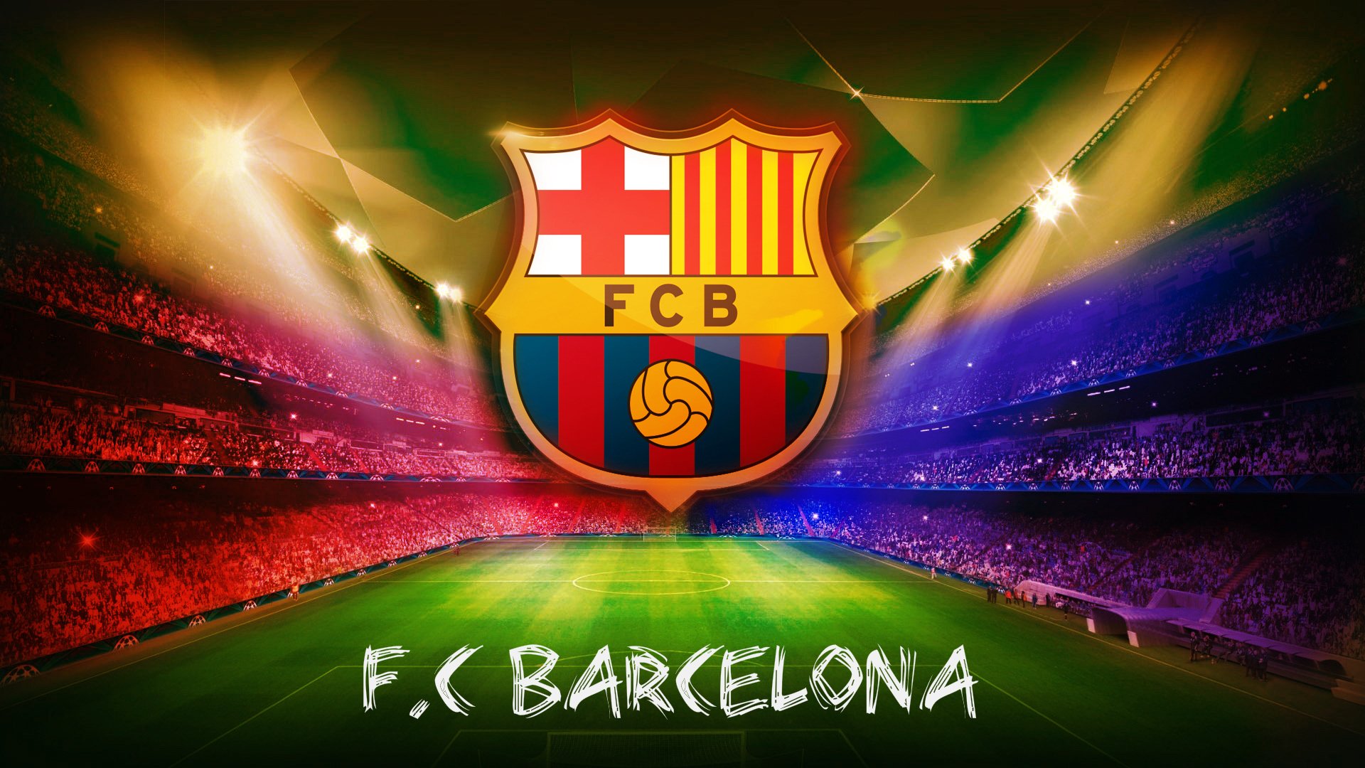 托里·哈斯克女子100米自由泳决赛精彩亮相