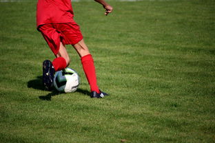 篮球运动员专项技能训练课程体系创新探索，篮球专项训练方案